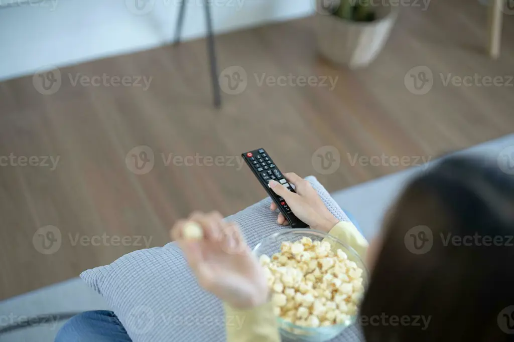 Menonton Anime dengan Nyaman Seseorang menggunakan remot untuk menonton anime di TV