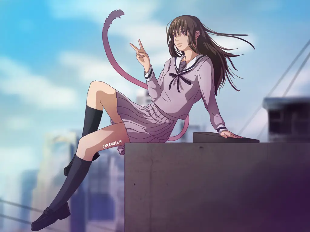 Fanart Hiyori Iki, Karakter Pendukung Noragami Gambar Fanart Hiyori Iki dari Anime Noragami
