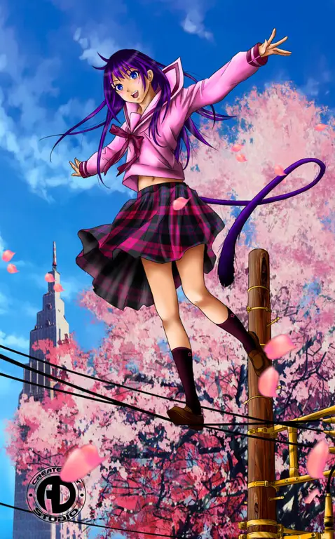 Hiyori, Gadis yang Menjadi Separuh Manusia Separuh Roh Gambar Hiyori Iki, salah satu karakter utama Noragami